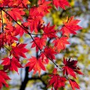 구례의길(지리산둘레길) | 지리산 둘레길 추천코스 완주 후기 &amp; 숙소 추천｜초보~중급 맞춤 루트