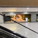 과천대로7길 | [과천 카페] 책 읽기 좋은 복합문화공간, '펄시커피' 과천 방문 솔직 후기