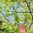 도그클럽 | 강남 역삼 테라스 도그요가 후기, 서보영 요가와 웰니스클럽 감성 클래스