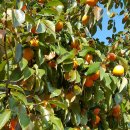 쌍암농장 이미지