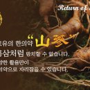 홍원당한의원 Daum카페