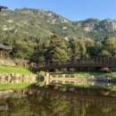 백화산토정한증막 이미지