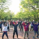 기체조교실 이미지