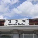 0716 잠깐 스쳐지나간 경주 (캔모아, 완구점 털이)