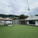 설레인 별 이미지