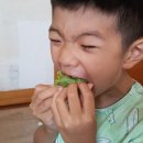 금오암소한마당 이미지