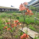 이종섭 농장 이미지