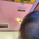 엘리펀트 마켓 이미지