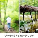 오대뜰민박 Daum카페