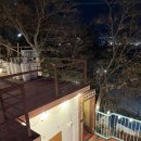 40계단 칠엽수거리 | 여수 조개구이 삼합 맛집, 돌산대교 뷰 멋진 여수계단집 후기! 가는법 주차