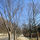 12월 1일 만월산-만수산-인천대공원(인천둘레길-5코스) 이미지