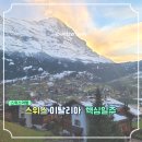 설렘호스텔 | 스위스이탈리아여행 코스 고민 끝 스위스6박7일 포함 스위스이탈리아패키지 솔직 후기