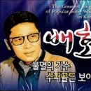목련화 이미지