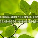 소은희마인드피아의원 | 반디상담센터 - 강남센터 치료진 소개