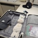 애월 현스테이 | 임신 21주 제주도 태교여행 일정 1. 애월 임순이네 밥집 협재 카페 슬랩 신라스테이 플러스 이호테우 숙소