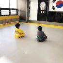 용인대한울태권도 이미지