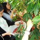 성심농원 이미지