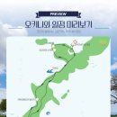 북부 | 뚜벅이 오키나와 북부버스 투어 내돈내산 후기 (하루하루투어)