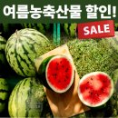 Q할인마트 이미지