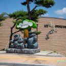 호랑이와 반달곰 | [2020.8.16] 남원 백두대간 생태교육장 전시관 관람후기