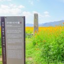 분황사주차장 이미지