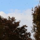 연암축산 이미지