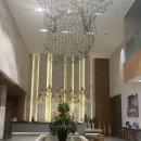 리버티 | 호치민 시내 호텔 위치 가성비 완벽 숙소 추천 N번째 예약한 리버티센트럴 내돈내산 후기