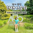 경기도 용인 가볼만한곳 한택식물원 솔직후기 수목원 산책 입장료
