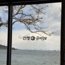 신창손순대국밥 | 해남 현지인 맛집 신창손순대국밥 본점 내돈내산 후기