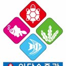 대전 유성구 수초어항 설치 후기/ 대전 이담수족관/ 수초전문점