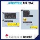 벨라 그루밍 이미지