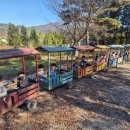 푸른합기도 이미지