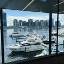 랜드마블 이미지