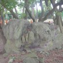 용담지석묘 1호 이미지