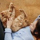 워크앤런 이미지