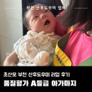 희망빌딩 제1동 | 부천 산후도우미 아가마지 3주 리얼 후기, 초산모 진심 추천 해요 (Feat. 강희숙 산후 관리사님)
