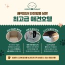 독스하트 구리 이미지