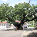 웅곡경로당 이미지