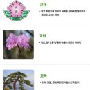 남양주송촌초시우분교장 이미지