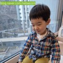 복덩이네과일 | 32개월 아기 유부초밥 만들기 | 주말 특식 주부초밥왕 유부초밥 만들기 + 딸기 귤 과일 식단