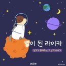 뮤지컬 라이카 후기 김환희, 윤나무, 진태화, 한보라