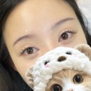 탐나는속눈썹 - 남구 | 대구 LED 속눈썹 연장, 수성구 속눈썹 맛집 '디뉴벨 대구속눈썹&멜라닌' - 솔직후기