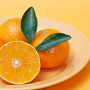 새생활슈퍼 이미지