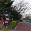 부천중앙공원공영주차장 이미지