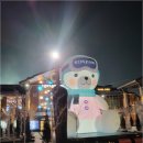보드야 경제랑 놀자 | 곤지암 렌탈샵 장비 대여 후 스키 강습 받은 후기