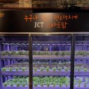 (주)거천 | [수원]파장동 쌈밥밥집 방문후기 -제철쌈밥