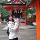 [일본]오사카 여행::이온몰/이나리신사/청수사::소소버스투어 내돈내산 후기