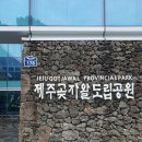 바닷속이바구 | 7월 제주 가족여행 4 (곶자왈 도립공원, 흑돼지 삼겹살, 동문시장, 관덕정 카페)