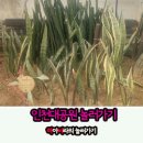 인천대공원(식물원 뒤) 이미지