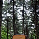 레스트하우스 이미지